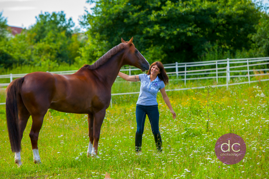 Pferdefotografie mit Reiterin auf der Koppel